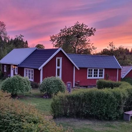 Bed and Breakfast Bjoerkedal Gard Blidsberg Zewnętrze zdjęcie